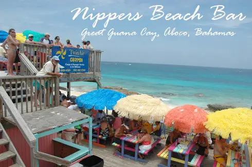nippers beach bar