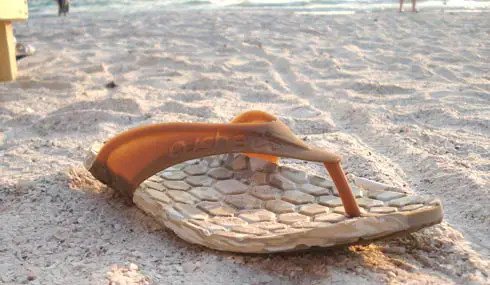 Cushe Sandals
