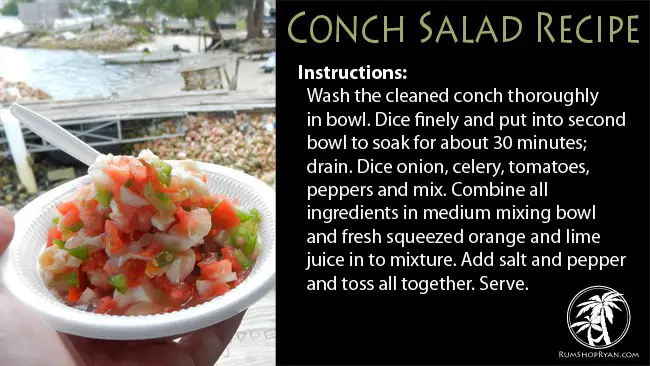 Conch Salad recipe
