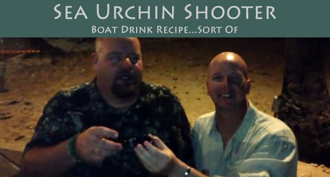 Sea Urchin Shooter