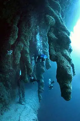 Diving the Blue Hole Belize