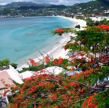 Grand anse Beach Grenada