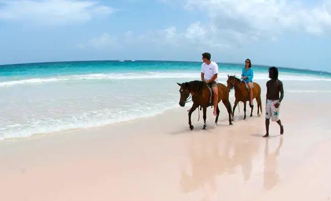 Caribbean Horseback riding