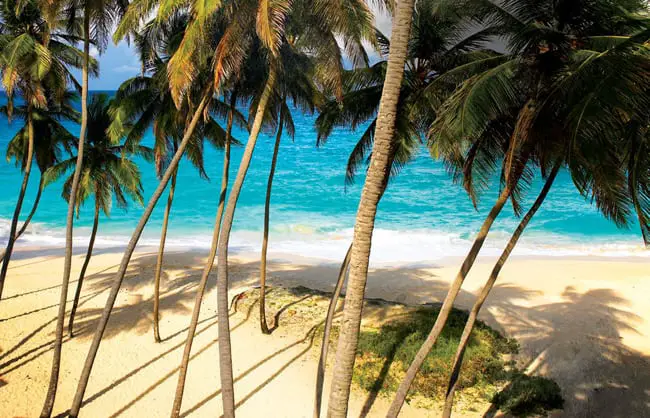 Things to do on Barbados