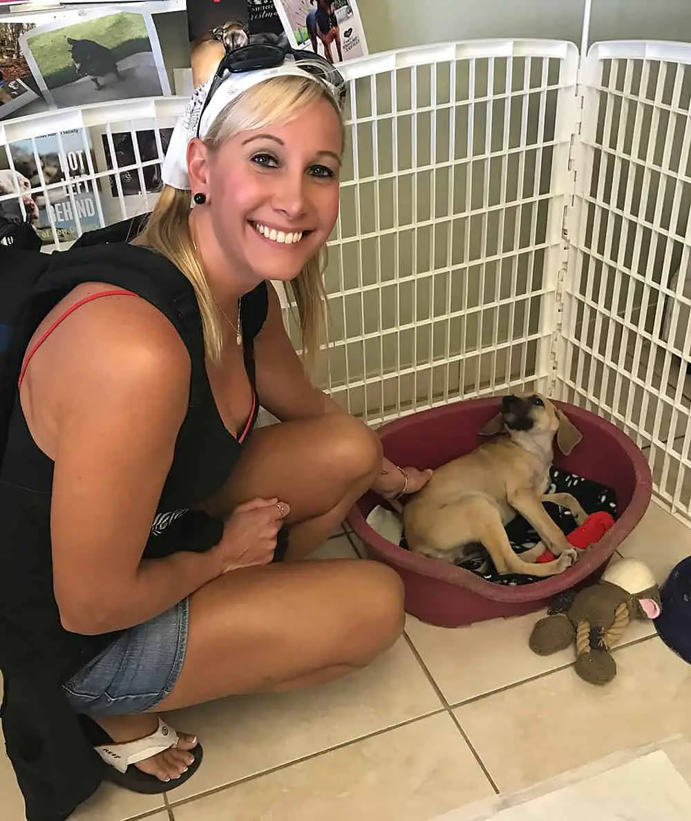 Potcake Dog Rescue Animal Rescue Turks and Caicos Animal Shelter Provo