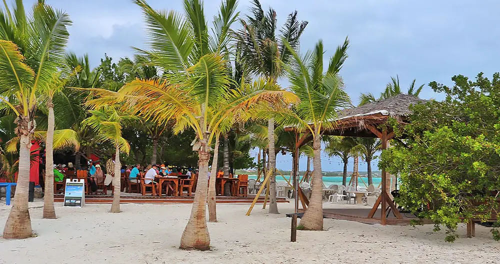 Palm Trees, Bugaloo's Conch Crawl, Beach Bar, Restaurant